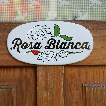 Le Rosier B&B E Appartamento Saint-Vincent Exterior foto