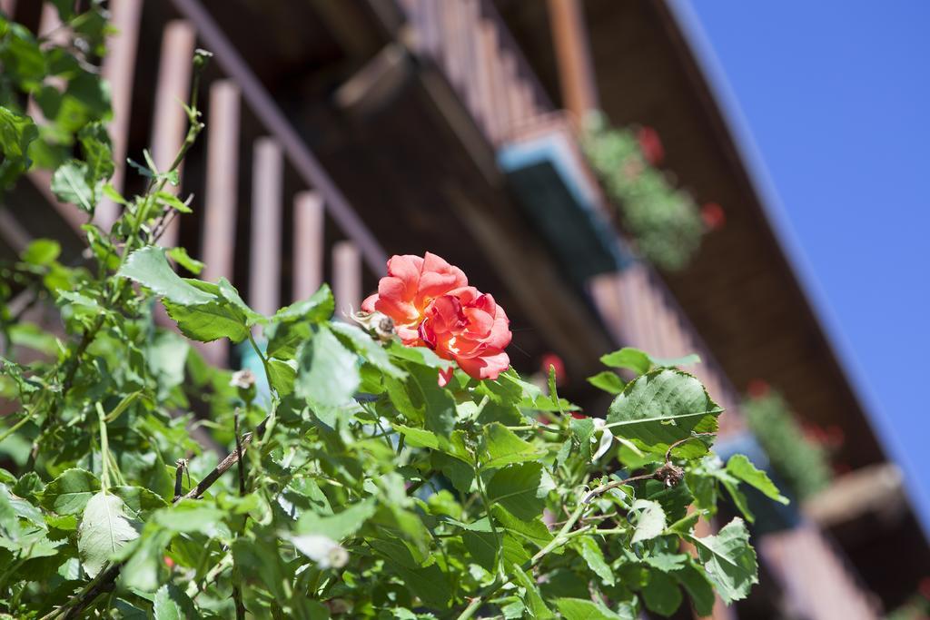 Le Rosier E Bed and breakfast 3*