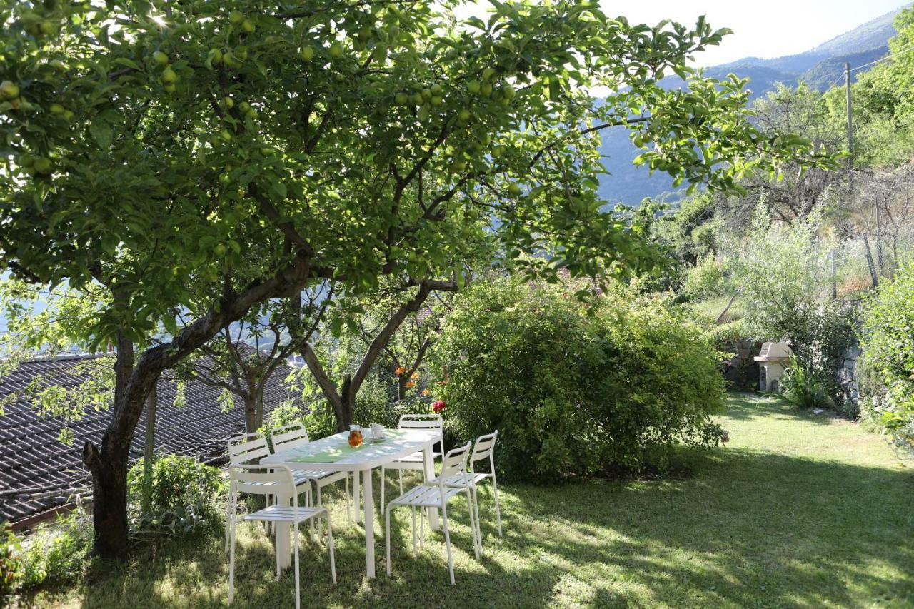 Bed and breakfast Le Rosier E 3*